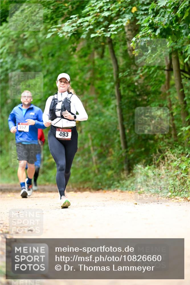 11.10.2026 - Bramfelder Halbmarathon 2026 Dr. Thomas Lammeyer http://msf.ph/oto/10826660 11.10.2026 10:57:58 Laufen 557, 493 meine-sportfotos.de