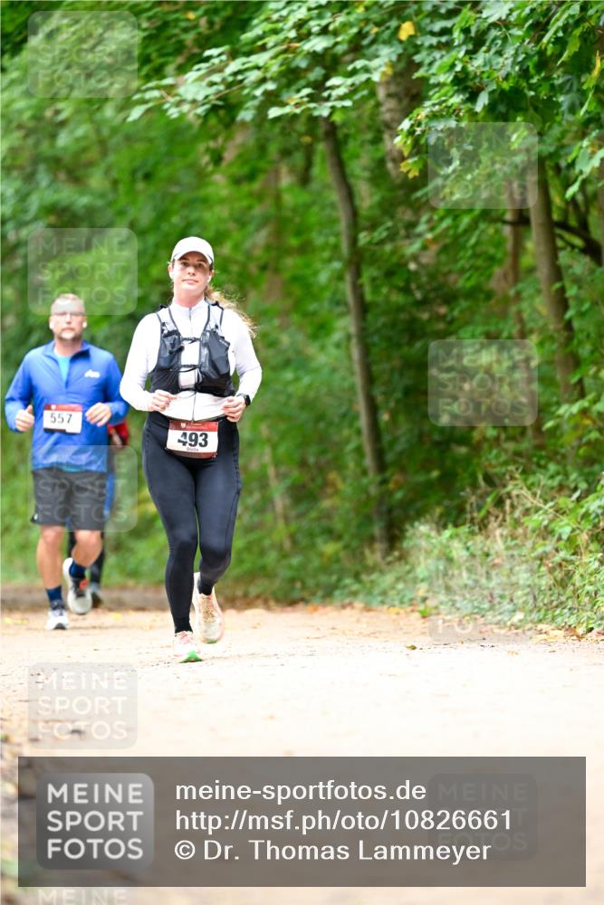11.10.2026 - Bramfelder Halbmarathon 2026 Dr. Thomas Lammeyer http://msf.ph/oto/10826661 11.10.2026 10:57:58 Laufen 557, 493 meine-sportfotos.de