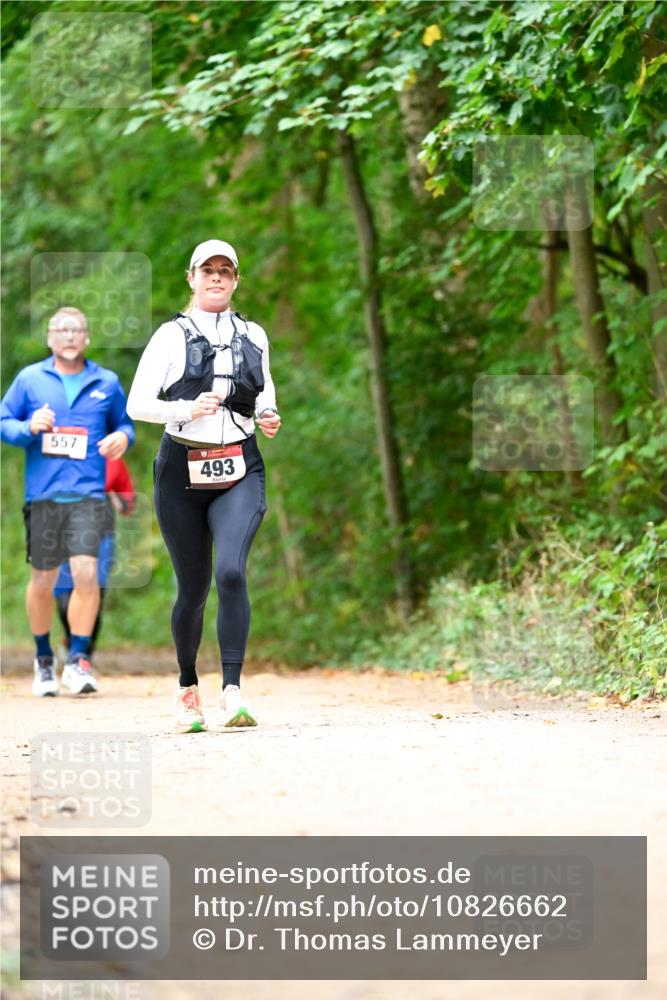 11.10.2026 - Bramfelder Halbmarathon 2026 Dr. Thomas Lammeyer http://msf.ph/oto/10826662 11.10.2026 10:57:58 Laufen 557, 493 meine-sportfotos.de