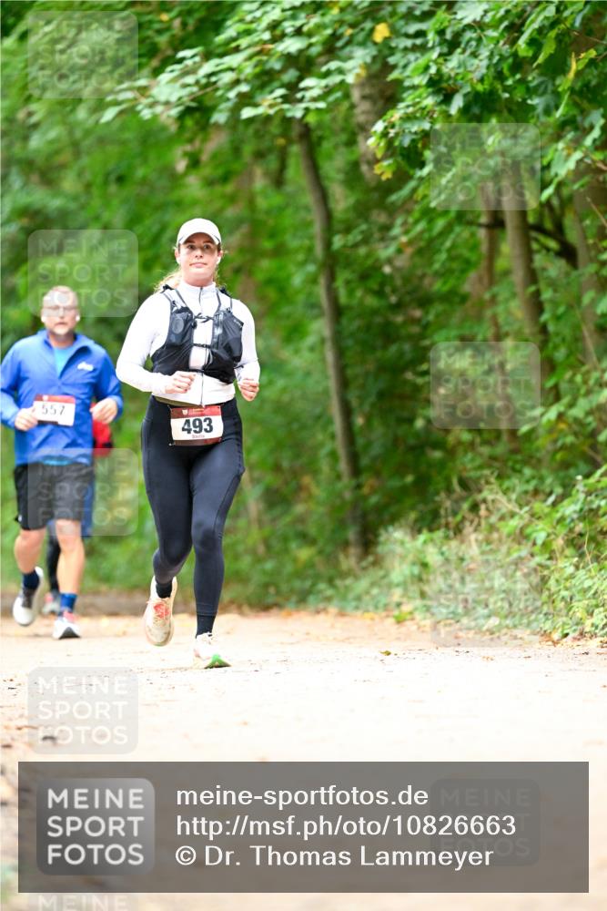 11.10.2026 - Bramfelder Halbmarathon 2026 Dr. Thomas Lammeyer http://msf.ph/oto/10826663 11.10.2026 10:57:58 Laufen 557, 493 meine-sportfotos.de