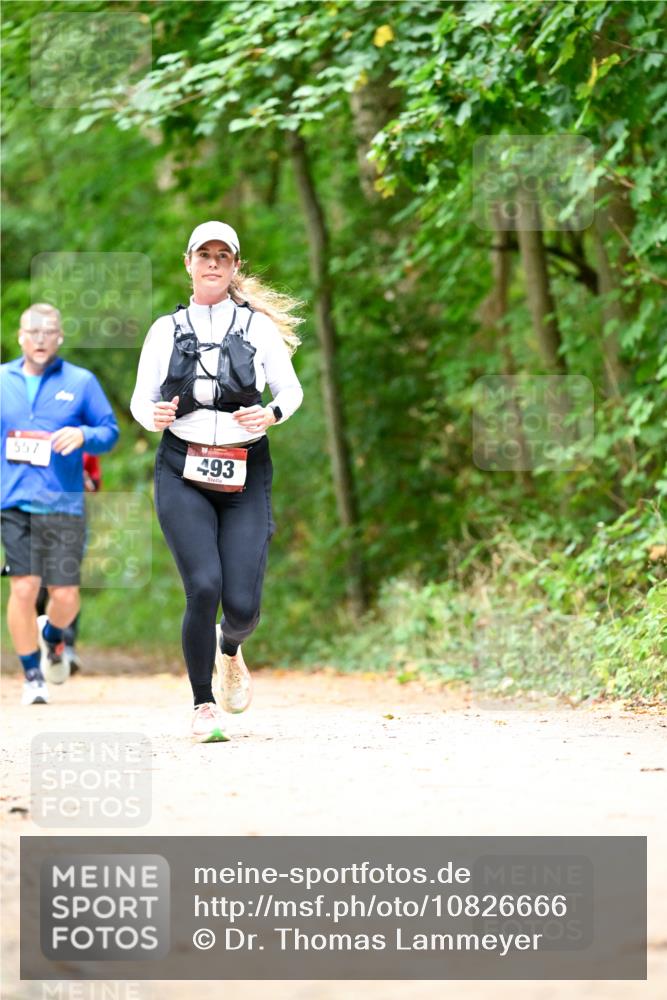 11.10.2026 - Bramfelder Halbmarathon 2026 Dr. Thomas Lammeyer http://msf.ph/oto/10826666 11.10.2026 10:57:58 Laufen 557, 493 meine-sportfotos.de