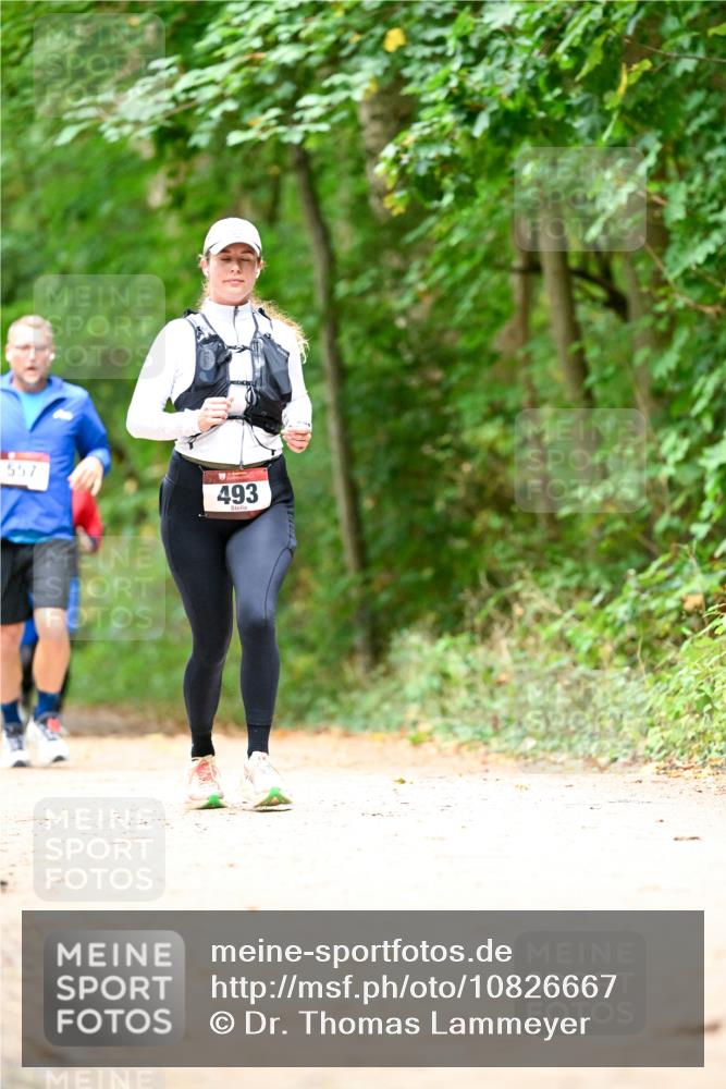 11.10.2026 - Bramfelder Halbmarathon 2026 Dr. Thomas Lammeyer http://msf.ph/oto/10826667 11.10.2026 10:57:59 Laufen 557, 493 meine-sportfotos.de