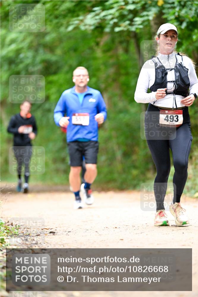 11.10.2026 - Bramfelder Halbmarathon 2026 Dr. Thomas Lammeyer http://msf.ph/oto/10826668 11.10.2026 10:58:00 Laufen 493 meine-sportfotos.de