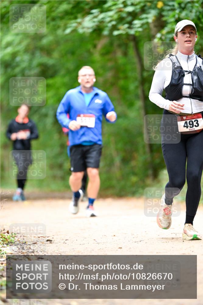 11.10.2026 - Bramfelder Halbmarathon 2026 Dr. Thomas Lammeyer http://msf.ph/oto/10826670 11.10.2026 10:58:00 Laufen 493 meine-sportfotos.de