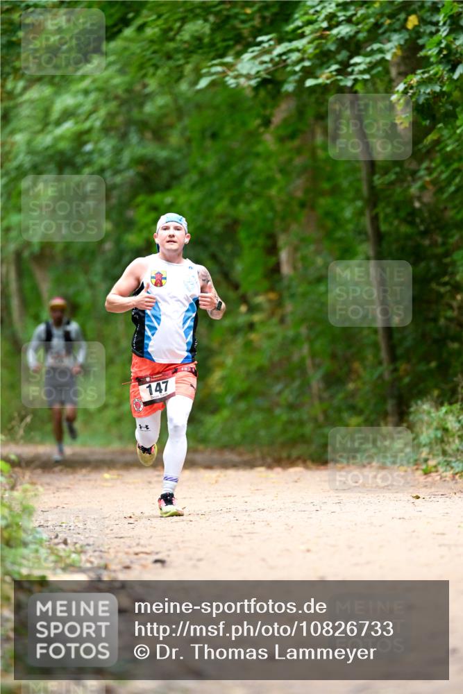 11.10.2026 - Bramfelder Halbmarathon 2026 Dr. Thomas Lammeyer http://msf.ph/oto/10826733 11.10.2026 10:58:15 Laufen 147 meine-sportfotos.de