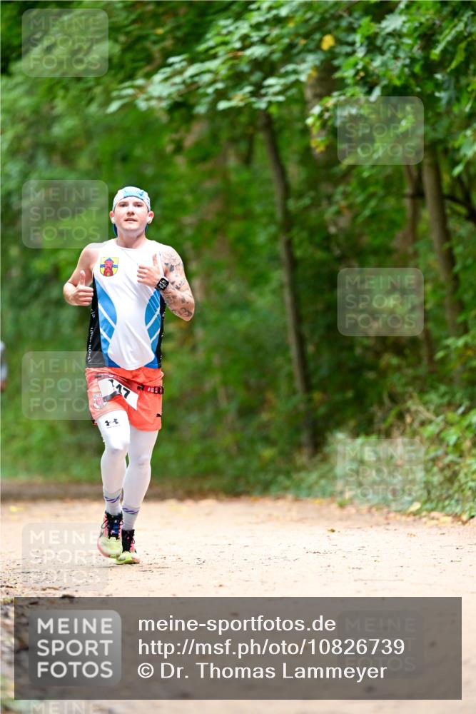 11.10.2026 - Bramfelder Halbmarathon 2026 Dr. Thomas Lammeyer http://msf.ph/oto/10826739 11.10.2026 10:58:16 Laufen  meine-sportfotos.de