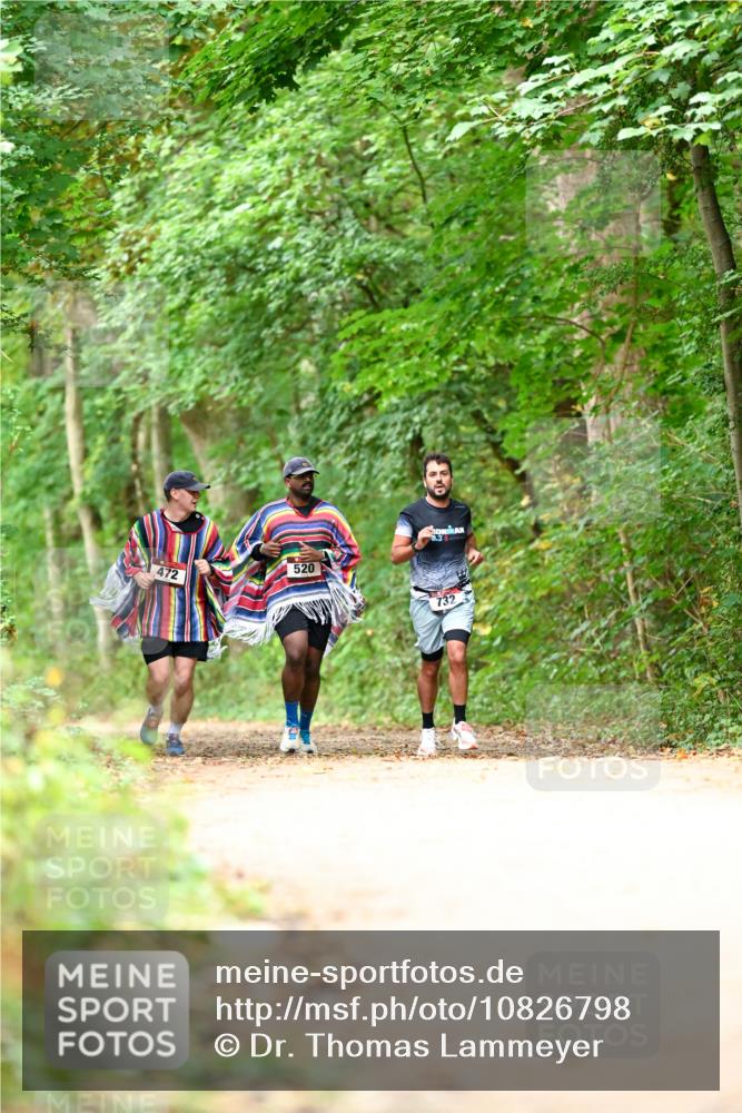 11.10.2026 - Bramfelder Halbmarathon 2026 Dr. Thomas Lammeyer http://msf.ph/oto/10826798 11.10.2026 10:59:09 Laufen 472, 520, 0, 3, 732 meine-sportfotos.de