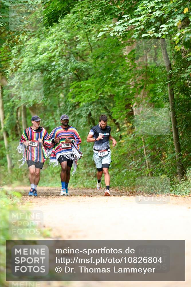11.10.2026 - Bramfelder Halbmarathon 2026 Dr. Thomas Lammeyer http://msf.ph/oto/10826804 11.10.2026 10:59:10 Laufen 472, 520, 732 meine-sportfotos.de