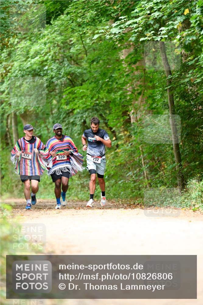 11.10.2026 - Bramfelder Halbmarathon 2026 Dr. Thomas Lammeyer http://msf.ph/oto/10826806 11.10.2026 10:59:10 Laufen 70, 3, 472, 520, 732 meine-sportfotos.de