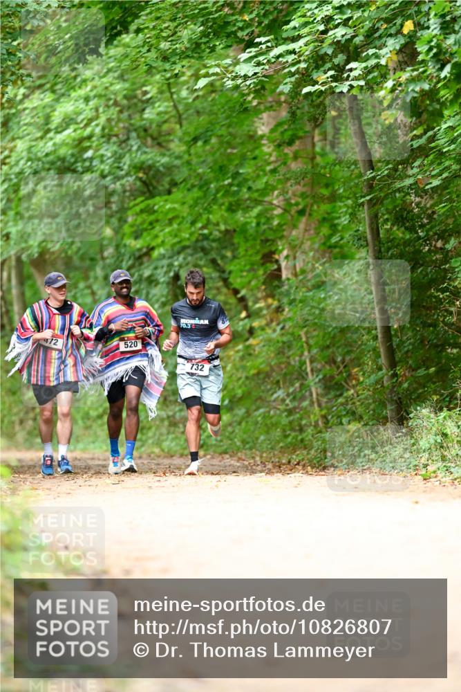 11.10.2026 - Bramfelder Halbmarathon 2026 Dr. Thomas Lammeyer http://msf.ph/oto/10826807 11.10.2026 10:59:10 Laufen 472, 520, 70, 732 meine-sportfotos.de