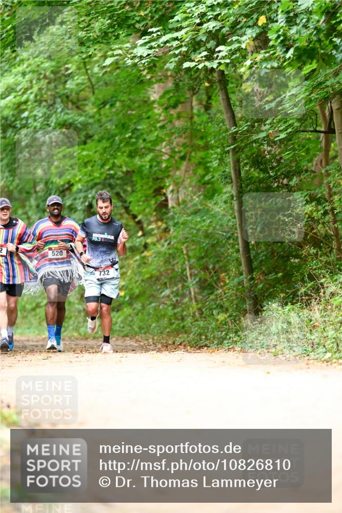 11.10.2026 - Bramfelder Halbmarathon 2026 Dr. Thomas Lammeyer http://msf.ph/oto/10826810 11.10.2026 10:59:10 Laufen 2, 520, 70, 3, 732 meine-sportfotos.de