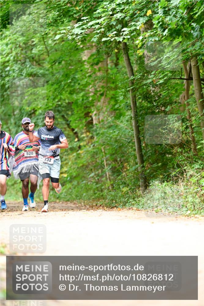 11.10.2026 - Bramfelder Halbmarathon 2026 Dr. Thomas Lammeyer http://msf.ph/oto/10826812 11.10.2026 10:59:11 Laufen 70, 520, 732 meine-sportfotos.de
