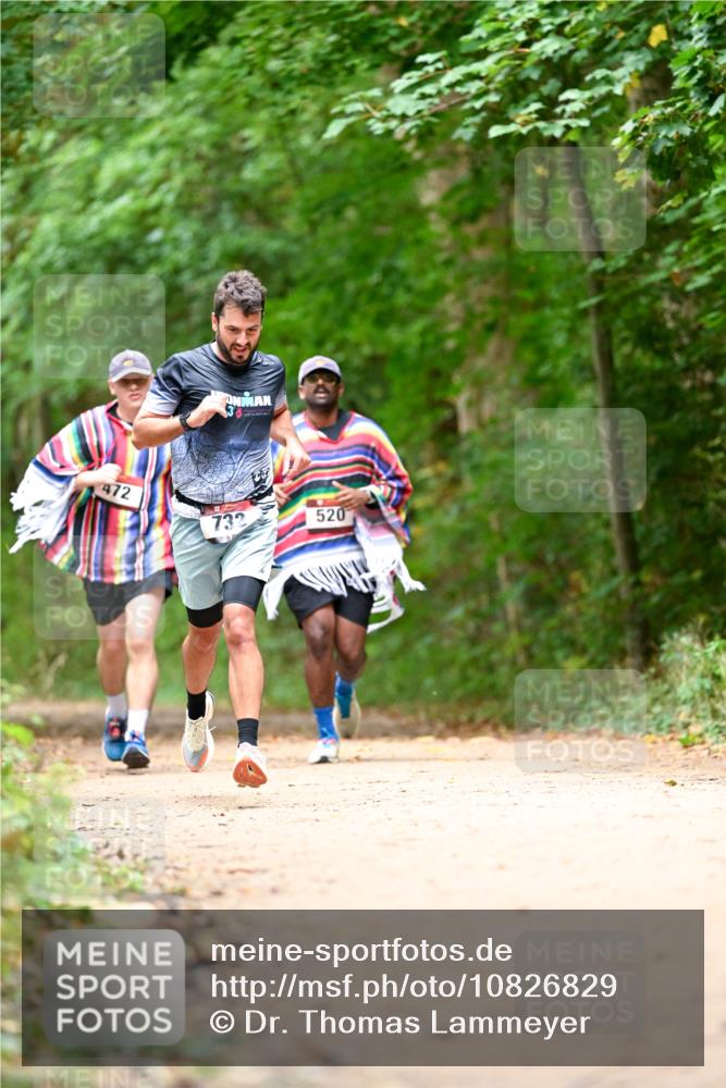11.10.2026 - Bramfelder Halbmarathon 2026 Dr. Thomas Lammeyer http://msf.ph/oto/10826829 11.10.2026 10:59:13 Laufen 472, 520, 732 meine-sportfotos.de