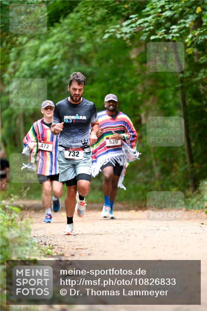 11.10.2026 - Bramfelder Halbmarathon 2026 Dr. Thomas Lammeyer http://msf.ph/oto/10826833 11.10.2026 10:59:13 Laufen 70, 3, 2, 472, 732, 520 meine-sportfotos.de
