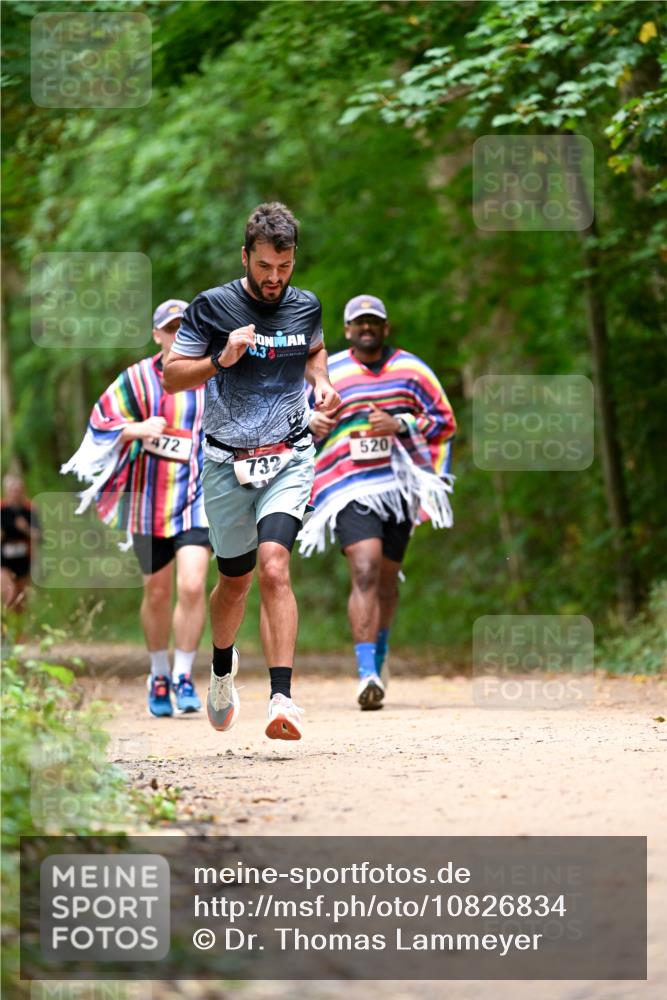 11.10.2026 - Bramfelder Halbmarathon 2026 Dr. Thomas Lammeyer http://msf.ph/oto/10826834 11.10.2026 10:59:14 Laufen 70, 3, 472, 520, 732 meine-sportfotos.de