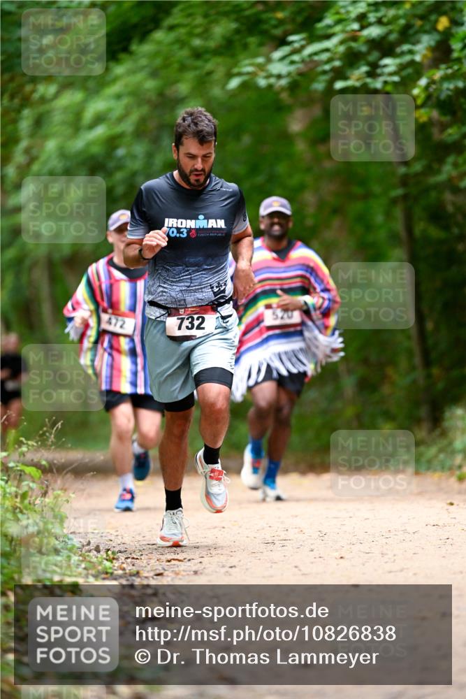 11.10.2026 - Bramfelder Halbmarathon 2026 Dr. Thomas Lammeyer http://msf.ph/oto/10826838 11.10.2026 10:59:14 Laufen 0, 3, 472, 732 meine-sportfotos.de