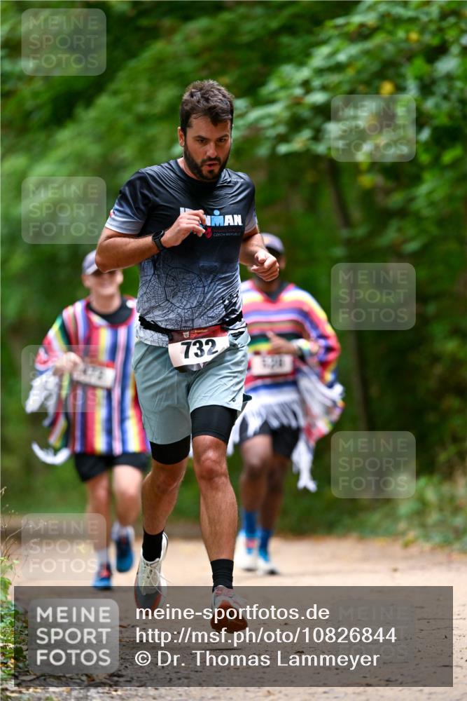 11.10.2026 - Bramfelder Halbmarathon 2026 Dr. Thomas Lammeyer http://msf.ph/oto/10826844 11.10.2026 10:59:15 Laufen 732 meine-sportfotos.de