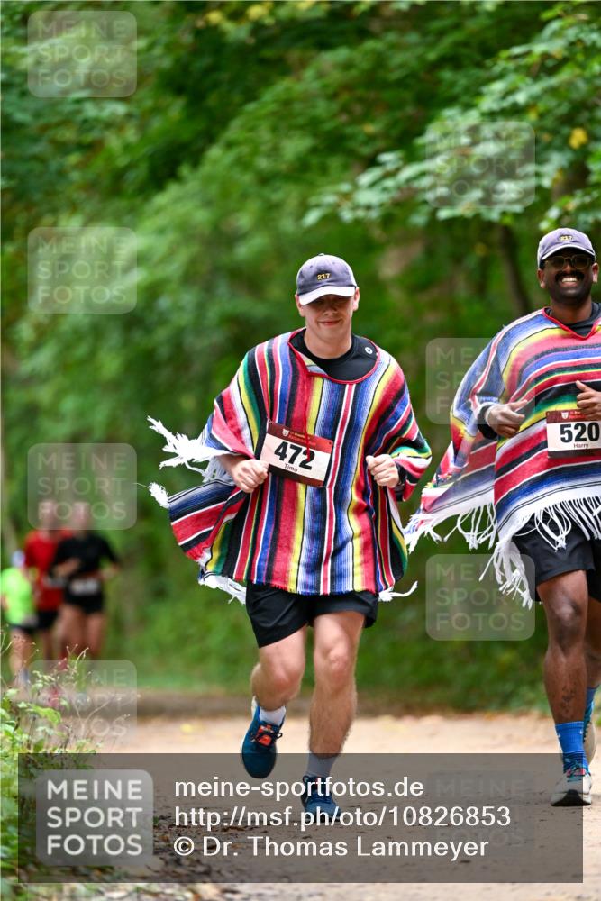 11.10.2026 - Bramfelder Halbmarathon 2026 Dr. Thomas Lammeyer http://msf.ph/oto/10826853 11.10.2026 10:59:17 Laufen 217, 217, 472, 520 meine-sportfotos.de