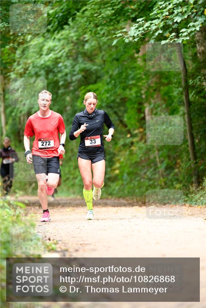 11.10.2026 - Bramfelder Halbmarathon 2026 Dr. Thomas Lammeyer http://msf.ph/oto/10826868 11.10.2026 10:59:22 Laufen 272, 33 meine-sportfotos.de