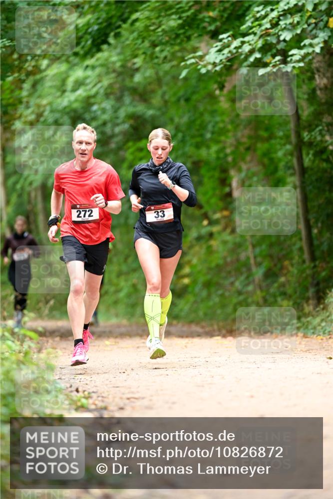 11.10.2026 - Bramfelder Halbmarathon 2026 Dr. Thomas Lammeyer http://msf.ph/oto/10826872 11.10.2026 10:59:22 Laufen 272, 33 meine-sportfotos.de