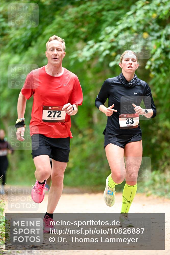 11.10.2026 - Bramfelder Halbmarathon 2026 Dr. Thomas Lammeyer http://msf.ph/oto/10826887 11.10.2026 10:59:24 Laufen 272, 33 meine-sportfotos.de