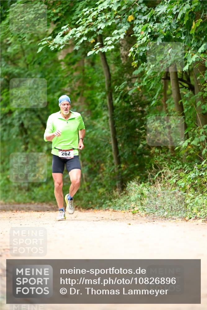 11.10.2026 - Bramfelder Halbmarathon 2026 Dr. Thomas Lammeyer http://msf.ph/oto/10826896 11.10.2026 10:59:28 Laufen 262 meine-sportfotos.de