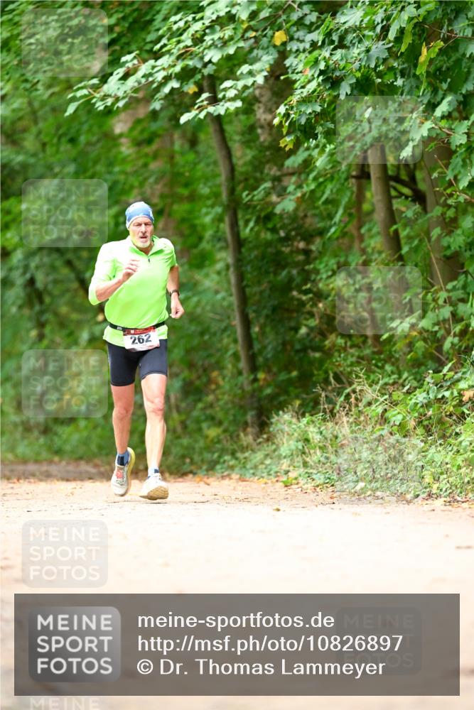 11.10.2026 - Bramfelder Halbmarathon 2026 Dr. Thomas Lammeyer http://msf.ph/oto/10826897 11.10.2026 10:59:28 Laufen 262 meine-sportfotos.de