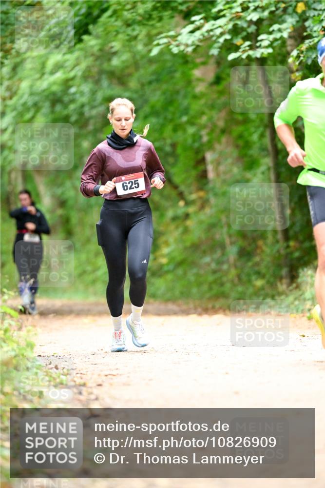 11.10.2026 - Bramfelder Halbmarathon 2026 Dr. Thomas Lammeyer http://msf.ph/oto/10826909 11.10.2026 10:59:31 Laufen 625 meine-sportfotos.de