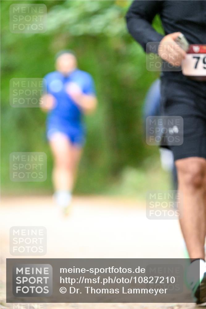 11.10.2026 - Bramfelder Halbmarathon 2026 Dr. Thomas Lammeyer http://msf.ph/oto/10827210 11.10.2026 11:01:15 Laufen 79 meine-sportfotos.de