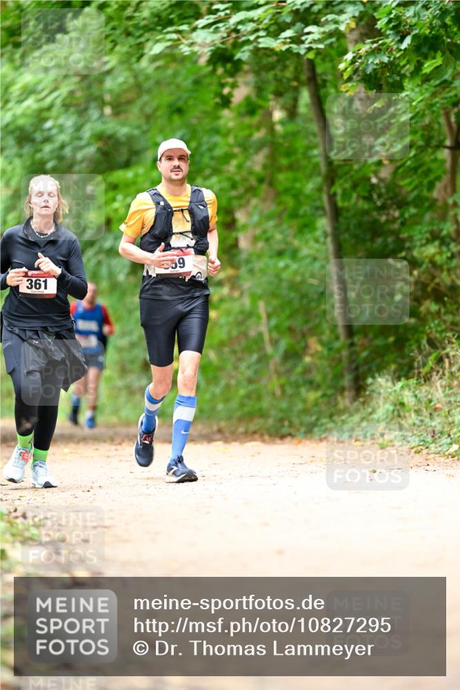 11.10.2026 - Bramfelder Halbmarathon 2026 Dr. Thomas Lammeyer http://msf.ph/oto/10827295 11.10.2026 11:01:35 Laufen 361, 59 meine-sportfotos.de