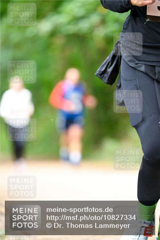 11.10.2026 - Bramfelder Halbmarathon 2026 Dr. Thomas Lammeyer http://msf.ph/oto/10827334 11.10.2026 11:01:41 Laufen  meine-sportfotos.de