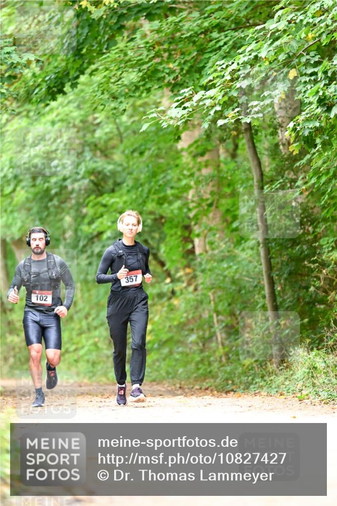 11.10.2026 - Bramfelder Halbmarathon 2026 Dr. Thomas Lammeyer http://msf.ph/oto/10827427 11.10.2026 11:02:36 Laufen 102, 357 meine-sportfotos.de