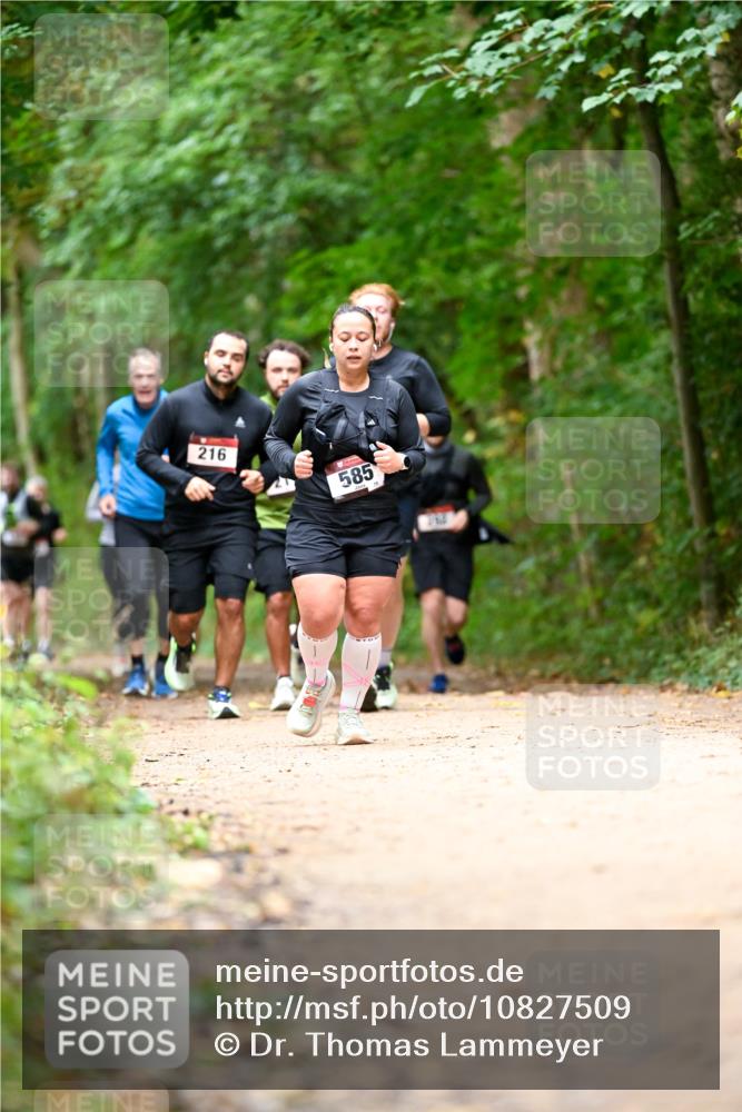 11.10.2026 - Bramfelder Halbmarathon 2026 Dr. Thomas Lammeyer http://msf.ph/oto/10827509 11.10.2026 11:03:06 Laufen 216, 585 meine-sportfotos.de