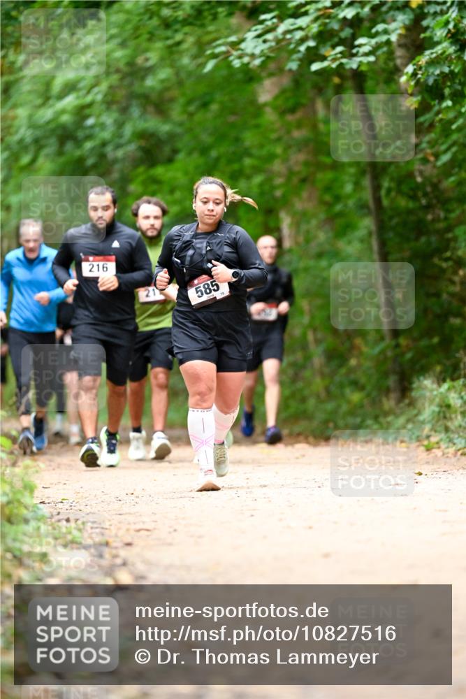 11.10.2026 - Bramfelder Halbmarathon 2026 Dr. Thomas Lammeyer http://msf.ph/oto/10827516 11.10.2026 11:03:07 Laufen 216, 585, 75 meine-sportfotos.de