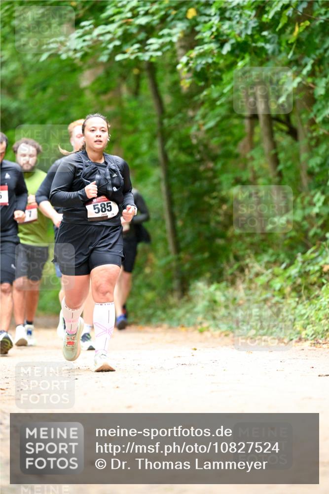 11.10.2026 - Bramfelder Halbmarathon 2026 Dr. Thomas Lammeyer http://msf.ph/oto/10827524 11.10.2026 11:03:08 Laufen 1, 585 meine-sportfotos.de