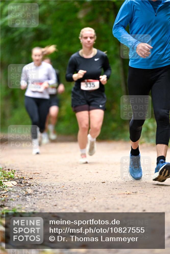 11.10.2026 - Bramfelder Halbmarathon 2026 Dr. Thomas Lammeyer http://msf.ph/oto/10827555 11.10.2026 11:03:14 Laufen 335 meine-sportfotos.de
