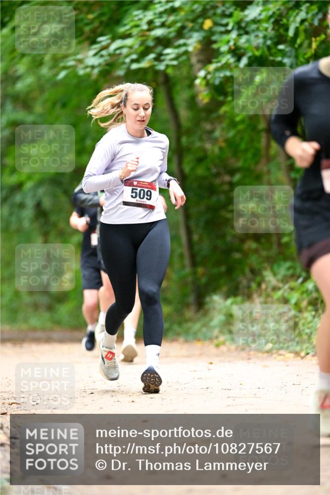 11.10.2026 - Bramfelder Halbmarathon 2026 Dr. Thomas Lammeyer http://msf.ph/oto/10827567 11.10.2026 11:03:17 Laufen 509 meine-sportfotos.de