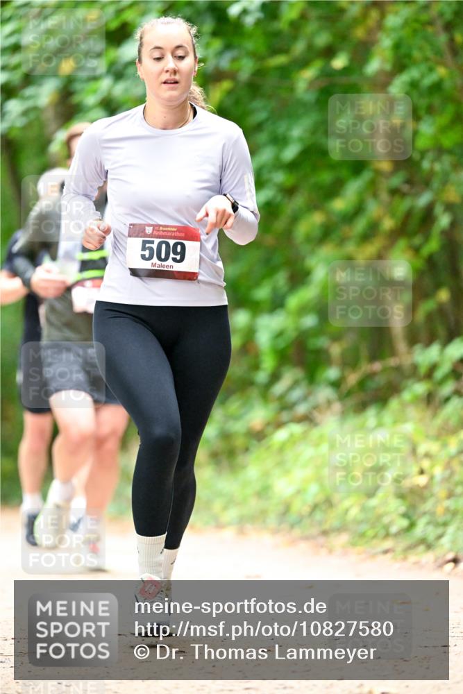 11.10.2026 - Bramfelder Halbmarathon 2026 Dr. Thomas Lammeyer http://msf.ph/oto/10827580 11.10.2026 11:03:18 Laufen 35, 509 meine-sportfotos.de