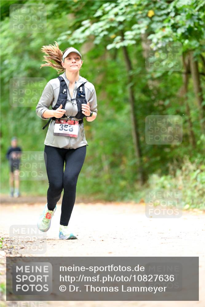 11.10.2026 - Bramfelder Halbmarathon 2026 Dr. Thomas Lammeyer http://msf.ph/oto/10827636 11.10.2026 11:03:39 Laufen 358 meine-sportfotos.de