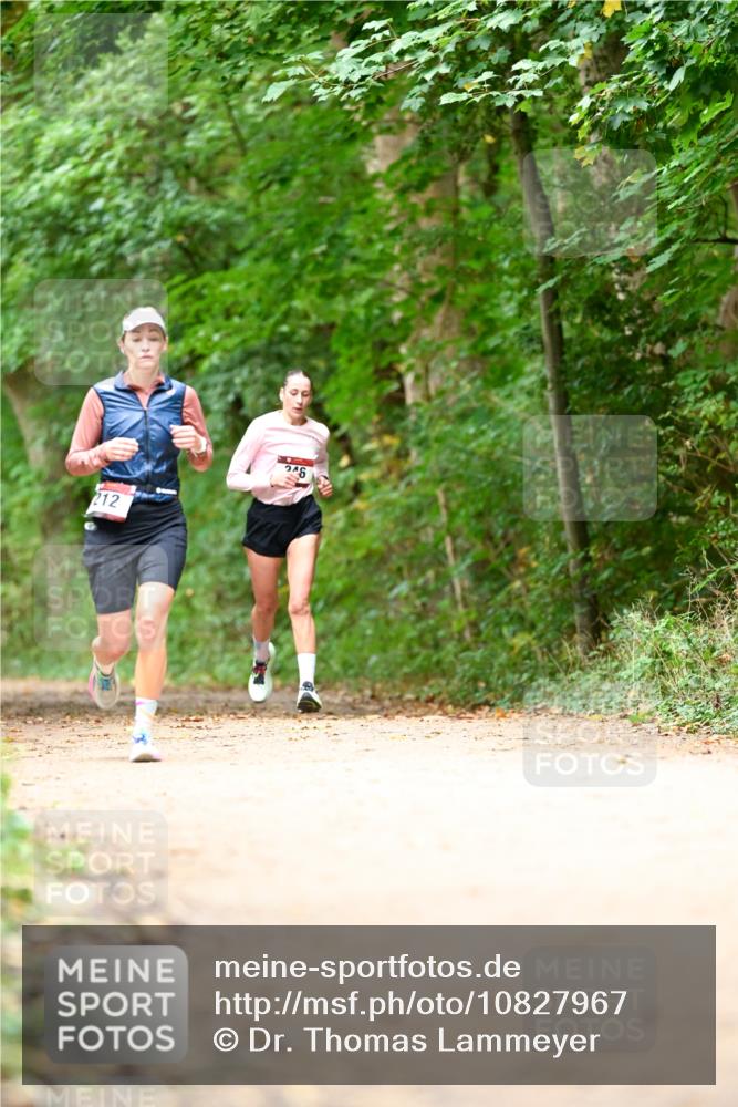 11.10.2026 - Bramfelder Halbmarathon 2026 Dr. Thomas Lammeyer http://msf.ph/oto/10827967 11.10.2026 11:04:46 Laufen 212 meine-sportfotos.de