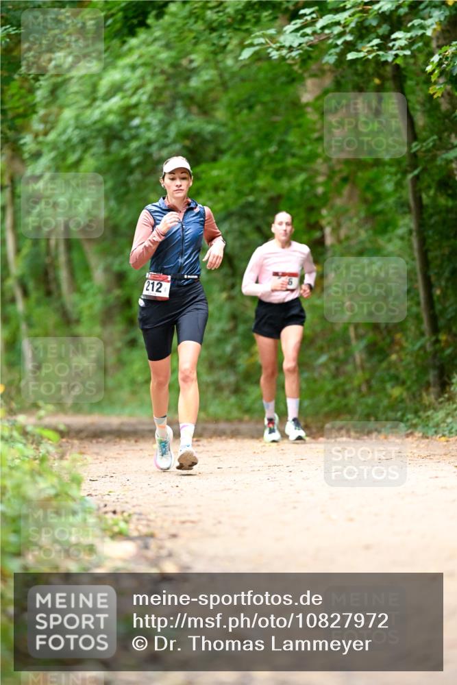 11.10.2026 - Bramfelder Halbmarathon 2026 Dr. Thomas Lammeyer http://msf.ph/oto/10827972 11.10.2026 11:04:47 Laufen 212 meine-sportfotos.de