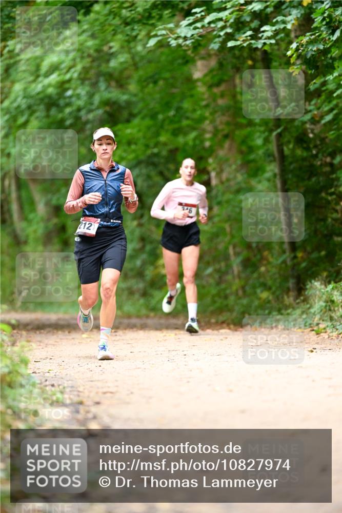 11.10.2026 - Bramfelder Halbmarathon 2026 Dr. Thomas Lammeyer http://msf.ph/oto/10827974 11.10.2026 11:04:47 Laufen 212 meine-sportfotos.de