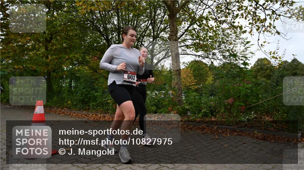 11.10.2026 - Bramfelder Halbmarathon 2026 J. Mangold http://msf.ph/oto/10827975 11.10.2026 10:45:45 Laufen 260, 601, 602, 704, 814, 815 meine-sportfotos.de