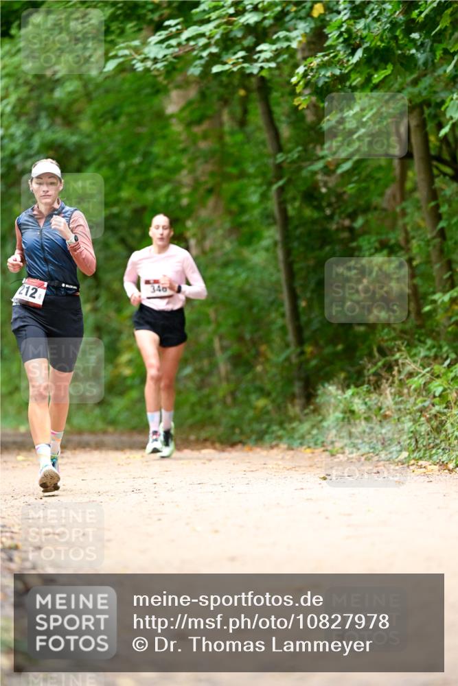 11.10.2026 - Bramfelder Halbmarathon 2026 Dr. Thomas Lammeyer http://msf.ph/oto/10827978 11.10.2026 11:04:47 Laufen 212, 340 meine-sportfotos.de