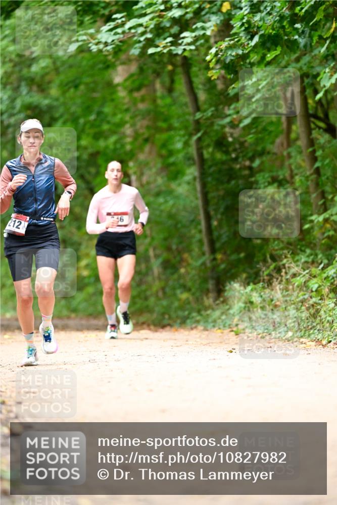 11.10.2026 - Bramfelder Halbmarathon 2026 Dr. Thomas Lammeyer http://msf.ph/oto/10827982 11.10.2026 11:04:48 Laufen 212 meine-sportfotos.de