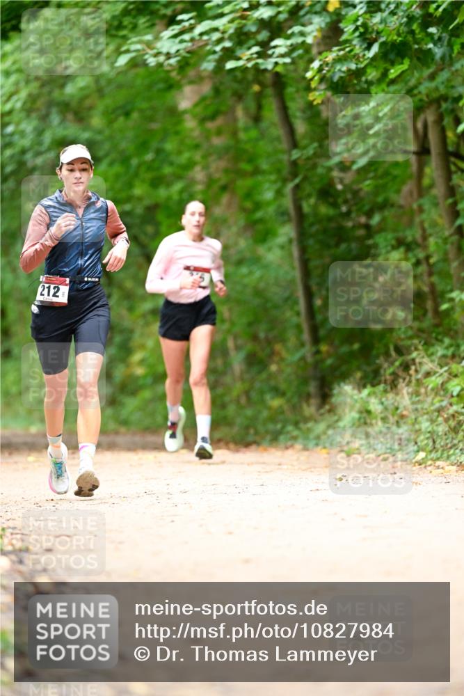 11.10.2026 - Bramfelder Halbmarathon 2026 Dr. Thomas Lammeyer http://msf.ph/oto/10827984 11.10.2026 11:04:48 Laufen 212 meine-sportfotos.de