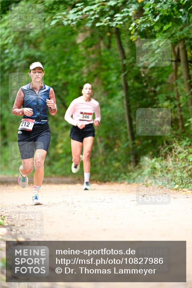 11.10.2026 - Bramfelder Halbmarathon 2026 Dr. Thomas Lammeyer http://msf.ph/oto/10827986 11.10.2026 11:04:48 Laufen 212, 346 meine-sportfotos.de