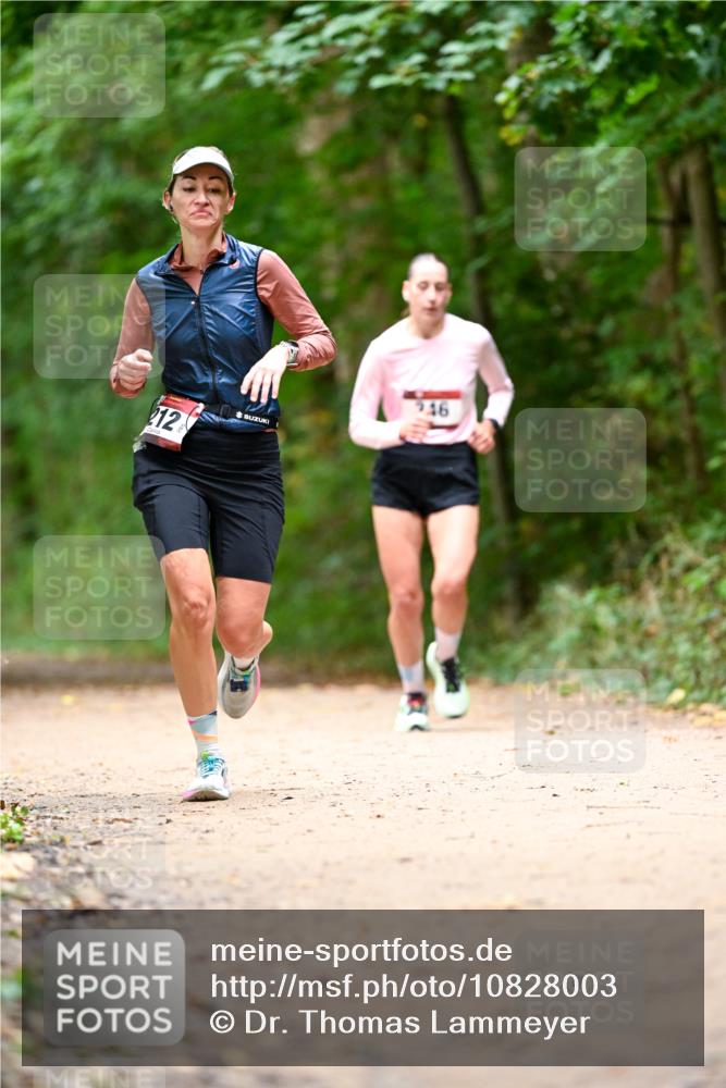 11.10.2026 - Bramfelder Halbmarathon 2026 Dr. Thomas Lammeyer http://msf.ph/oto/10828003 11.10.2026 11:04:49 Laufen 212, 46 meine-sportfotos.de