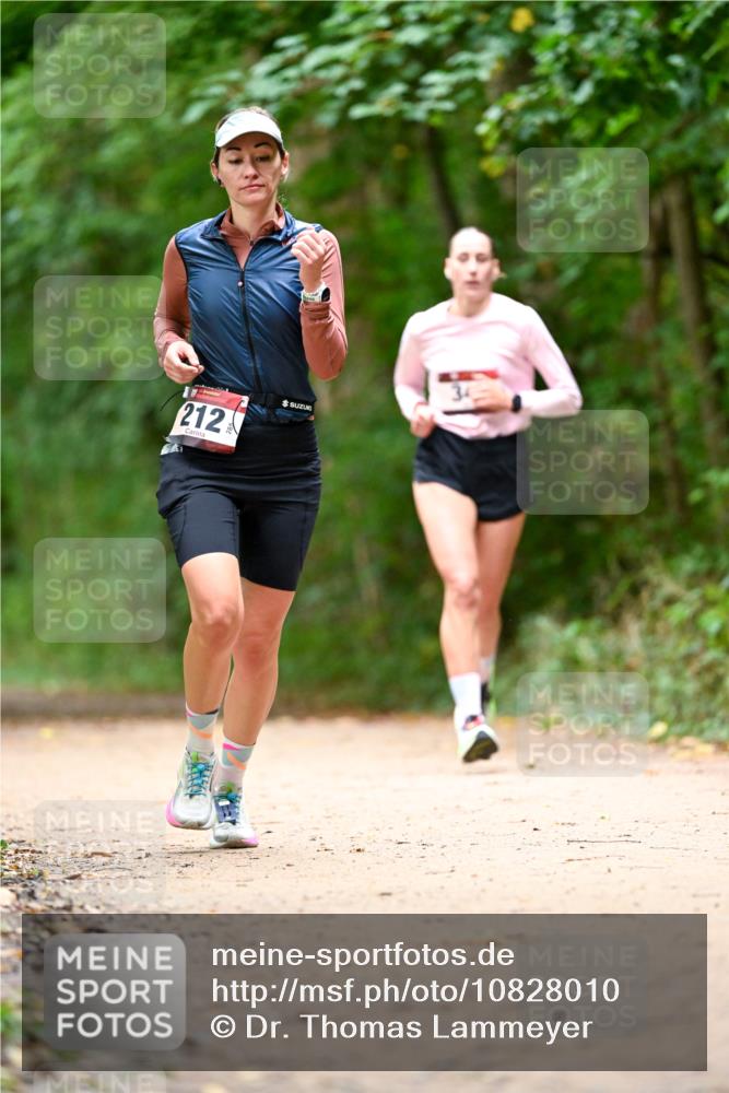 11.10.2026 - Bramfelder Halbmarathon 2026 Dr. Thomas Lammeyer http://msf.ph/oto/10828010 11.10.2026 11:04:50 Laufen 212 meine-sportfotos.de