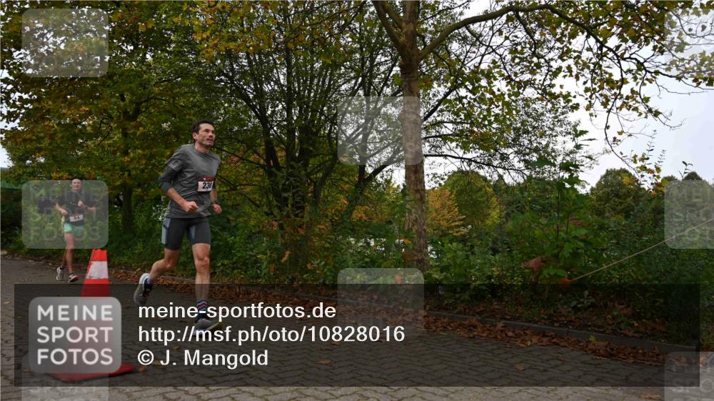 11.10.2026 - Bramfelder Halbmarathon 2026 J. Mangold http://msf.ph/oto/10828016 11.10.2026 10:46:27 Laufen 84, 155, 230 meine-sportfotos.de